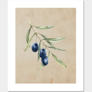 Vintage olives Posters and Art